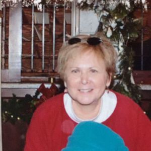 Meet your Posher, Enid